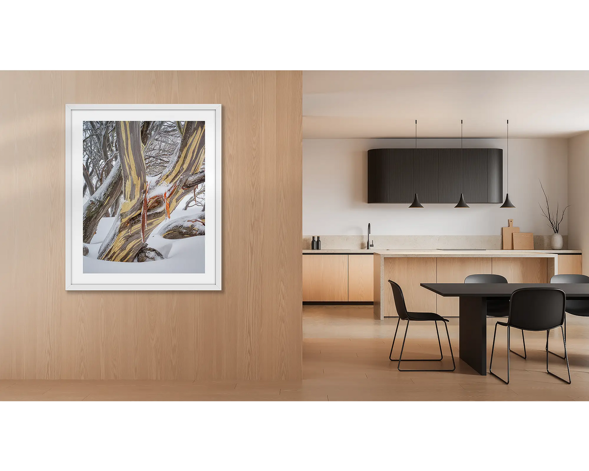 Variance. Wall art print of a snow gum in snow, framed with a white frame and hung at a kitchen entrance. 