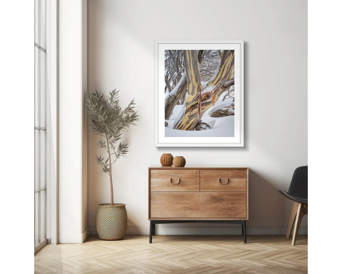 Variance. Wall art print of a snow gum in snow, framed with a white frame and hung in an apartment living room.