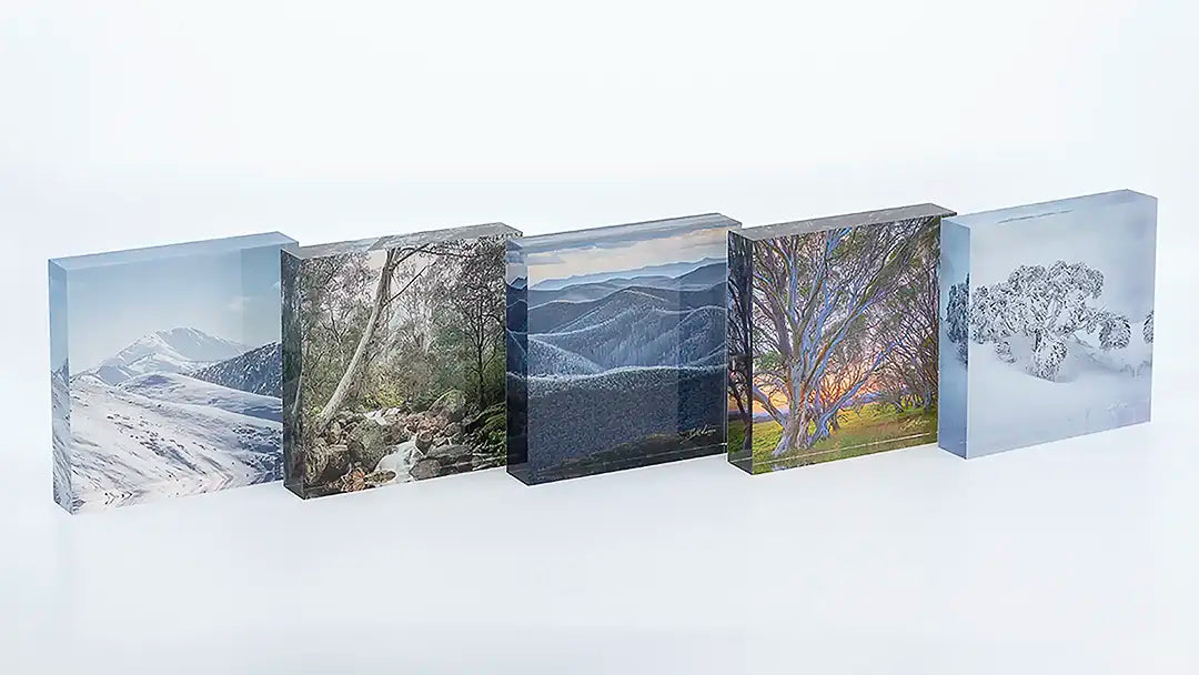 Victoria acrylic block collection. Australian Artwork.