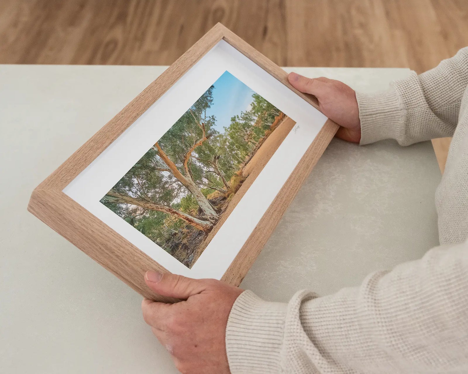 Framed photograph of gum trees around a dry Ormiston Creek.