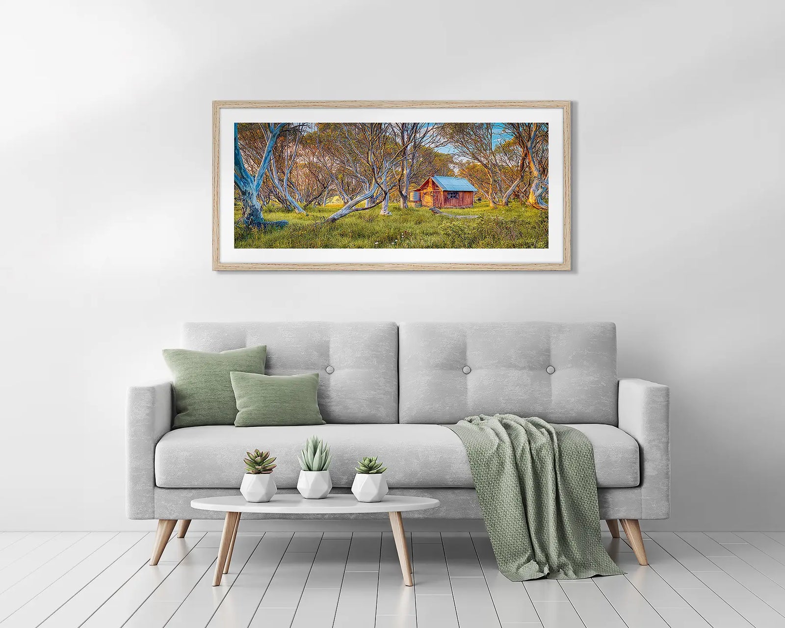 Sunrise light on gum trees and JB Hut in Alpine National Park.