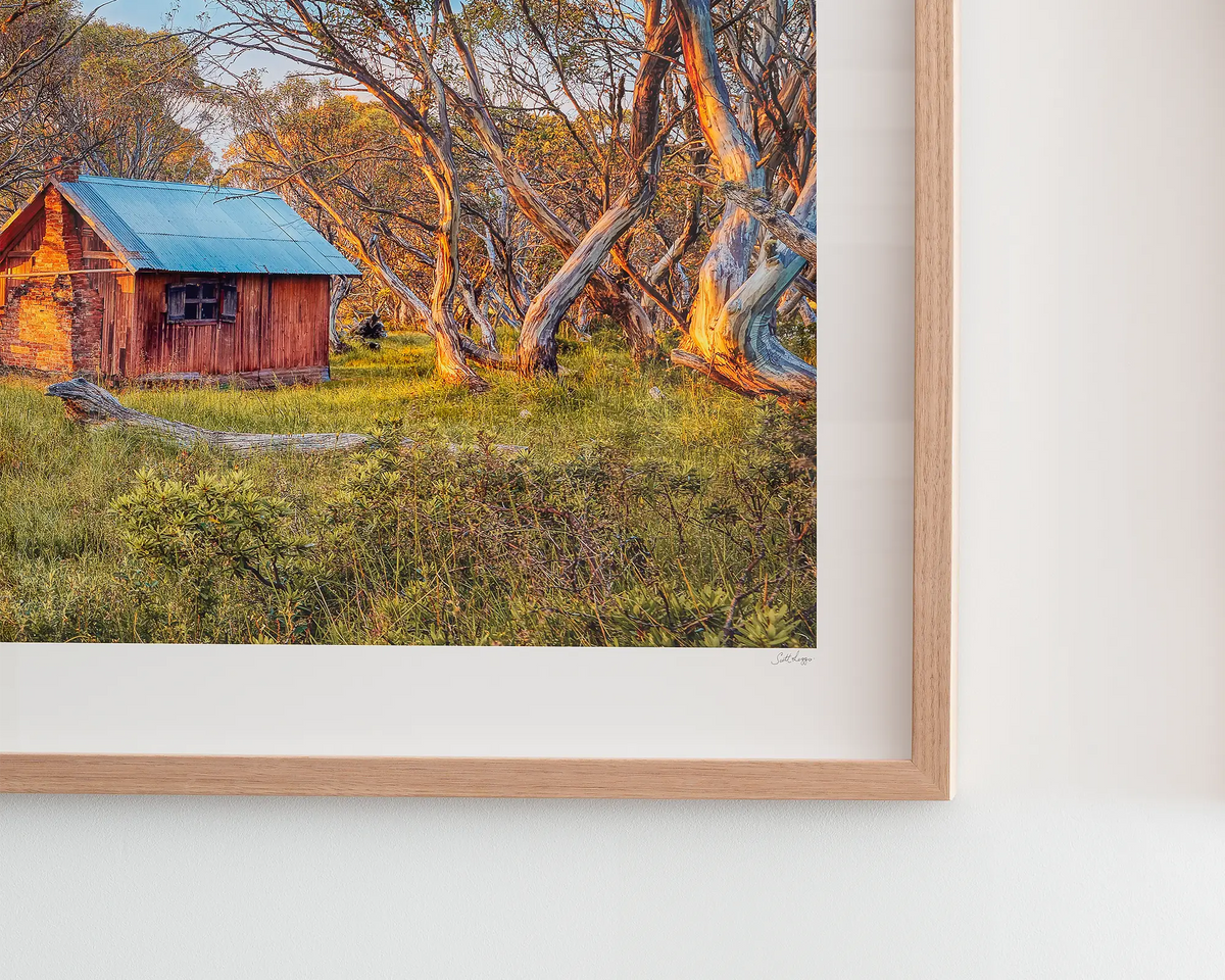 Waking Up. JB Hut, High Country wall art, framed in Tasmanian Oak frame, hanging on wall.