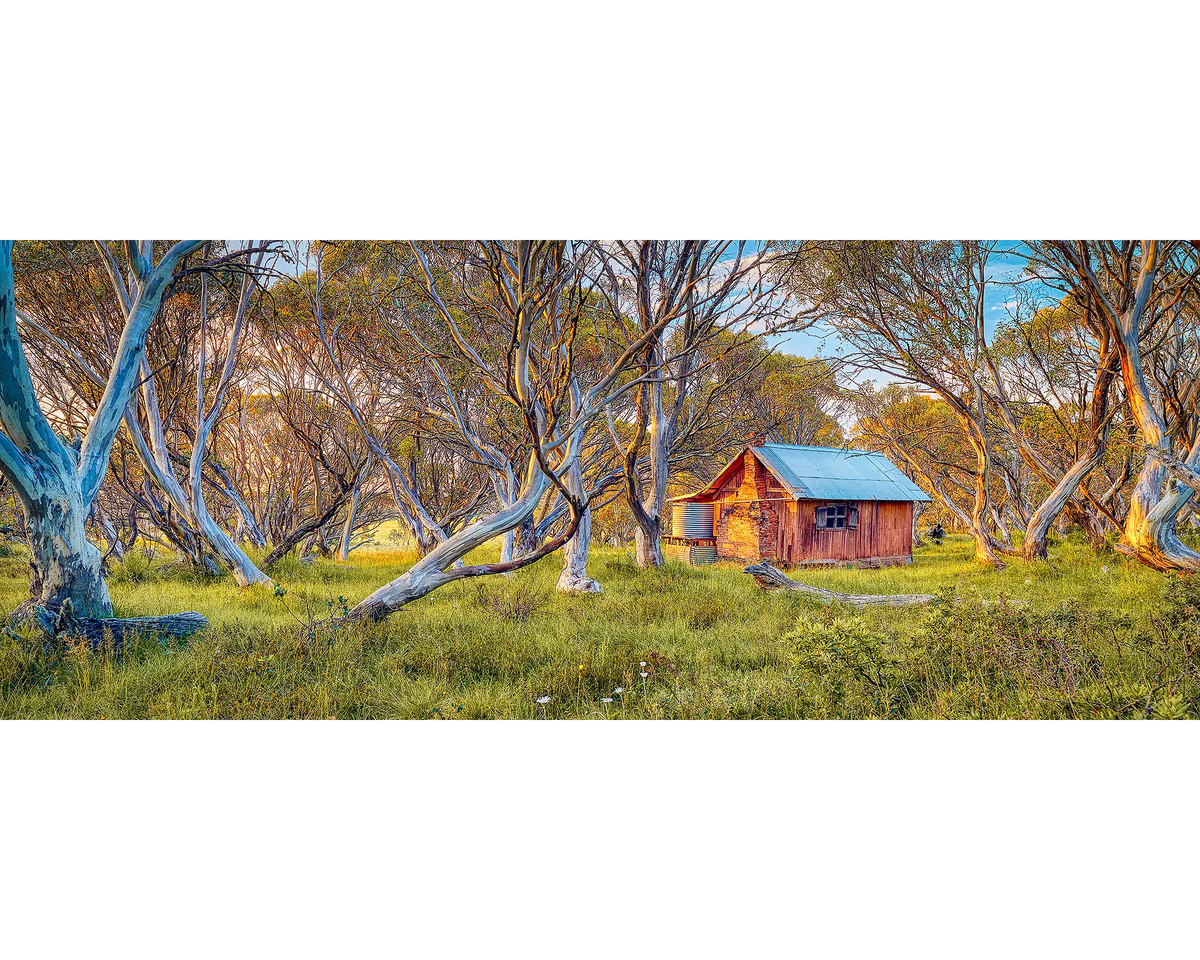 Sunrise light on gum trees and JB Hut in Alpine National Park.