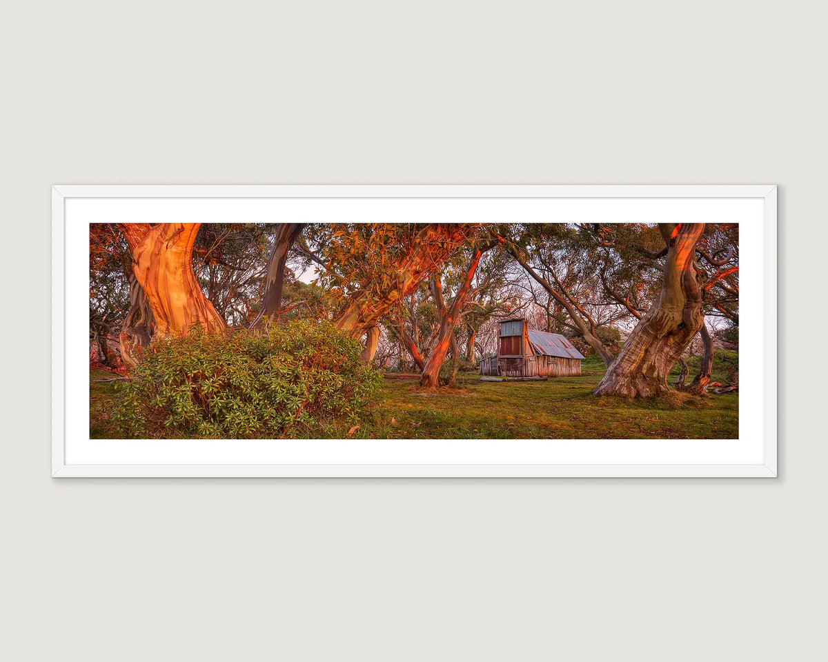 Framed photograph of Wallace Hut Bogong National Park, with trees at sunrise.