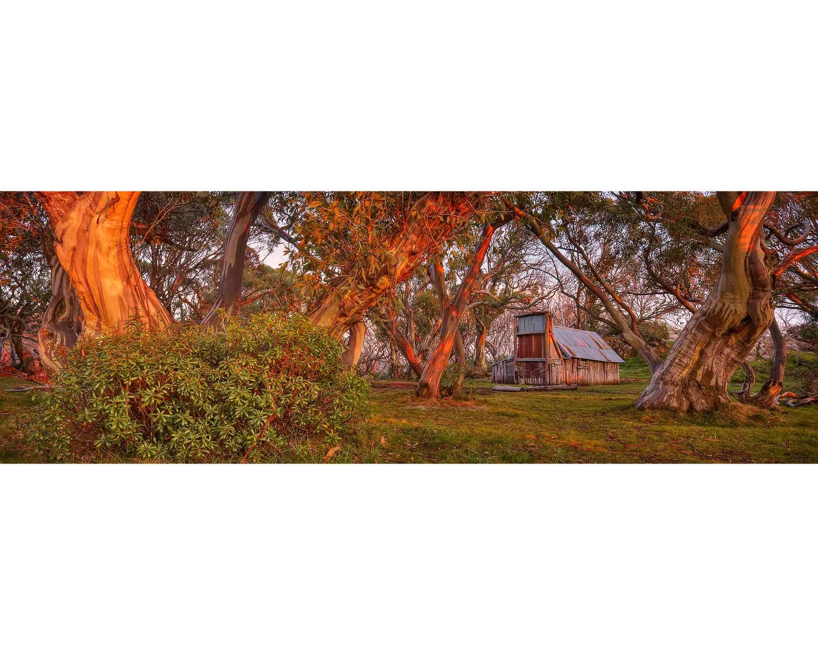 Wallace Sunrise. Wallaces Hut, Alpine National Park, Victoria.