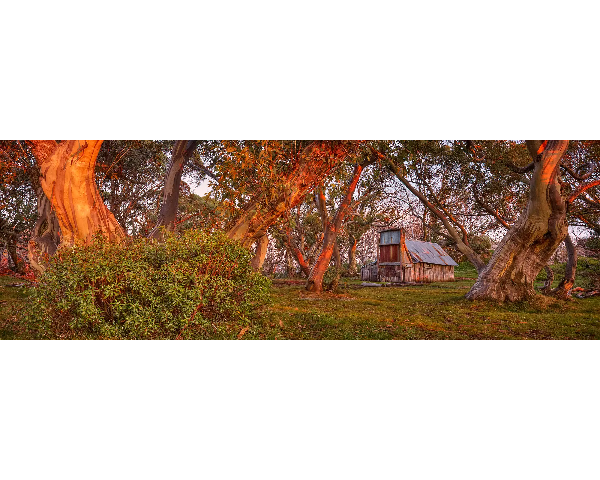 Wallace Sunrise. Wallaces Hut, Alpine National Park, Victoria.