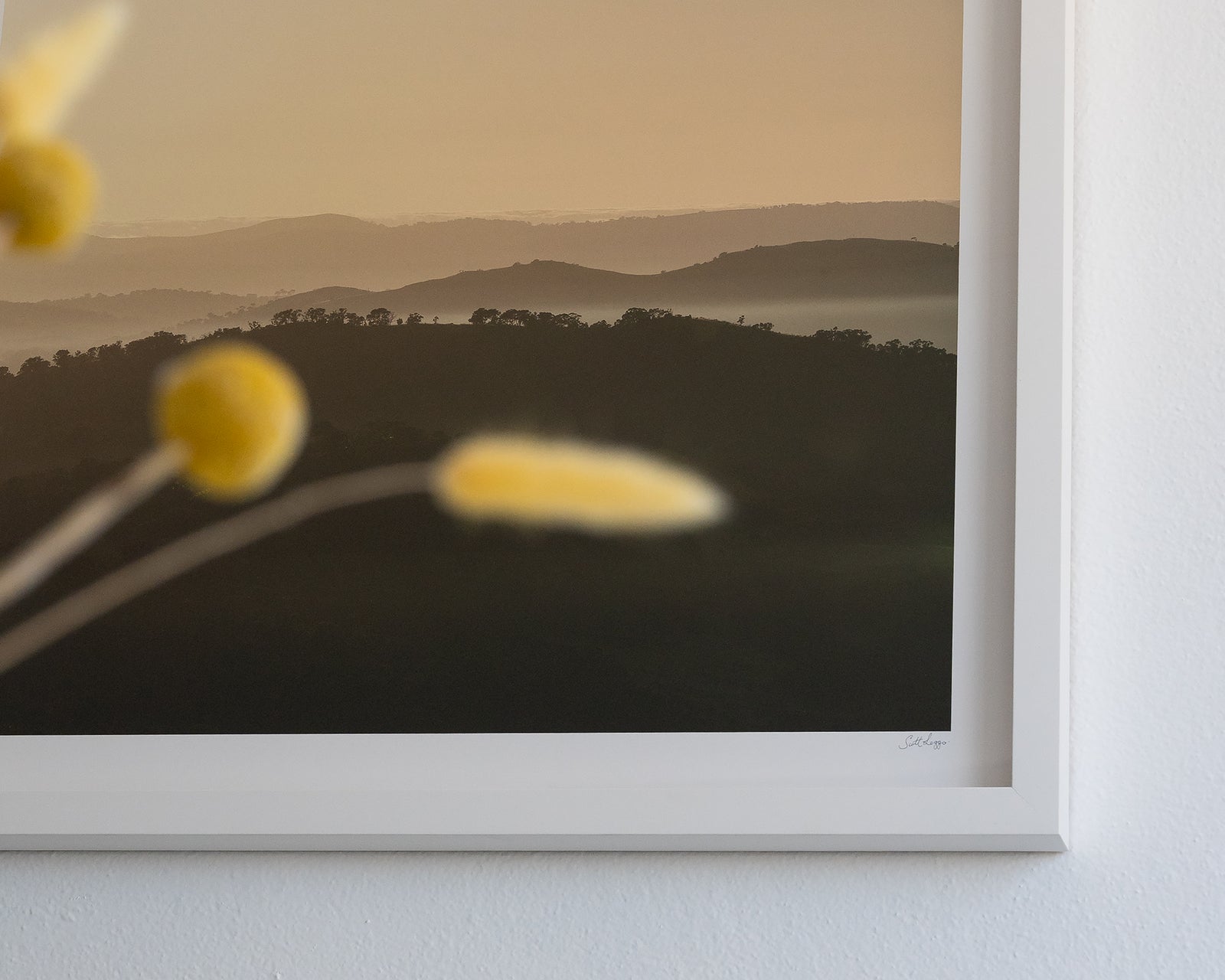 Framed artwork of a landscape featuring Farrer Ridge and Wanniassa Hills Nature Reserves at sunrise.