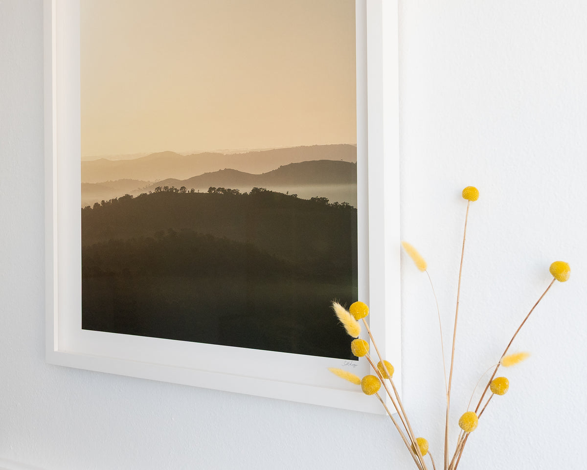 Wanniassa Wakes. Sunrise over Farrer Ridge and Mount Wanniassa, with white frame and yellow flowers beside.