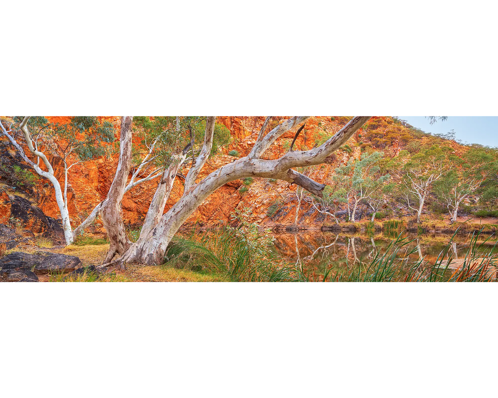 Waterhole Retreat. Ellery Creek Big Hole, West Macdonnell Ranges, Northern Territory, Australia.