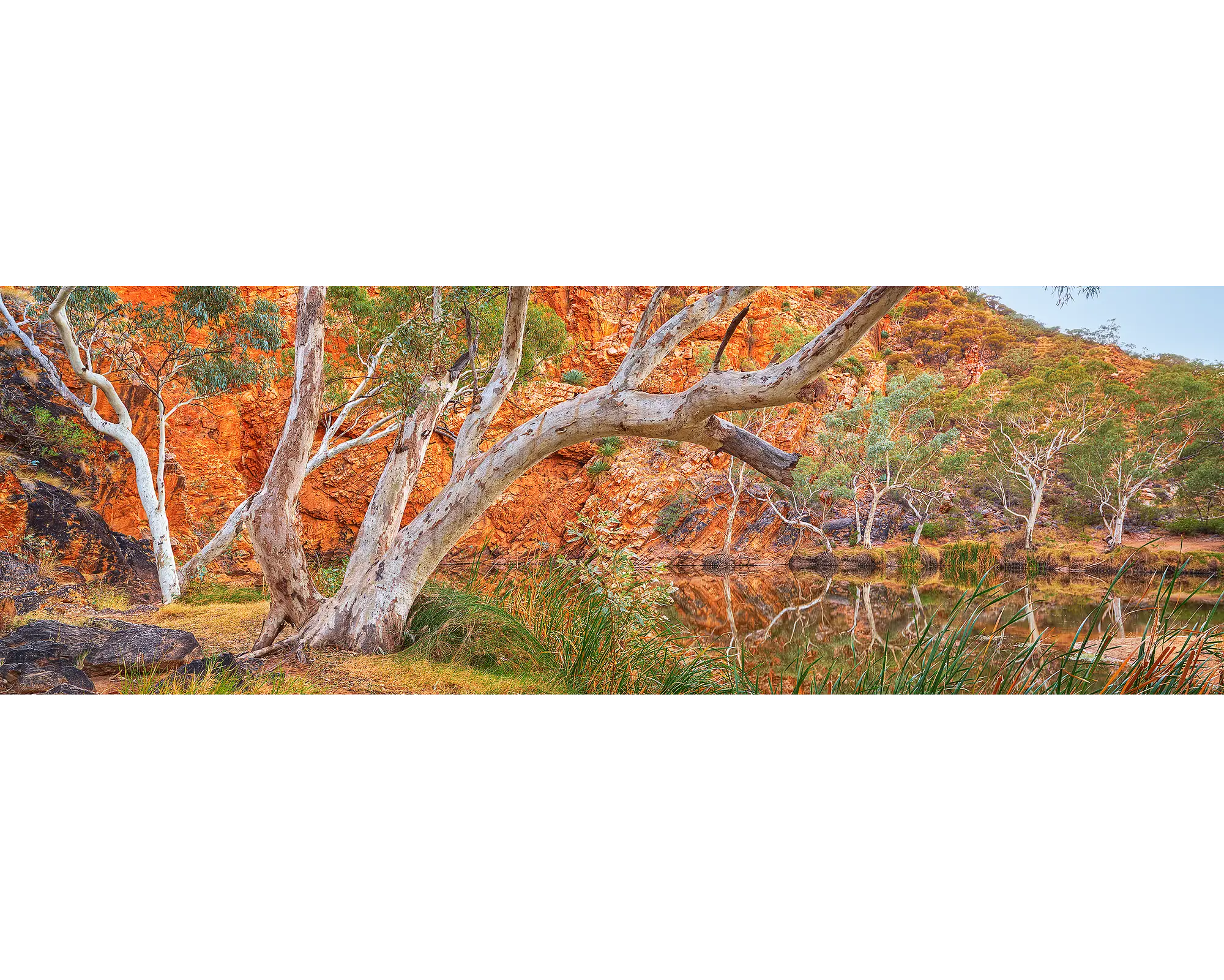 Waterhole Retreat. Ellery Creek Big Hole, West Macdonnell Ranges, Northern Territory, Australia.
