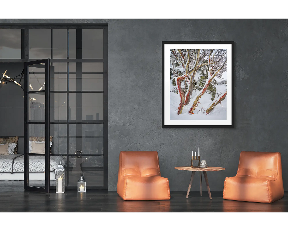 Weathered Reds. Framed wall art print of snow gums with red bark, covered in snow, with a black frame in a modern loft apartment. 