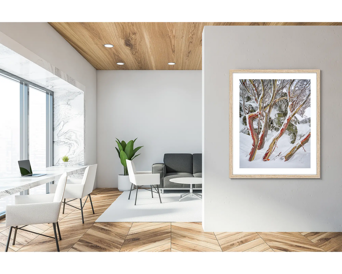 Weathered Reds. Framed wall art print of snow gums with red bark, covered in snow, with a timber frame in a modern, scandi inspired apartment. 