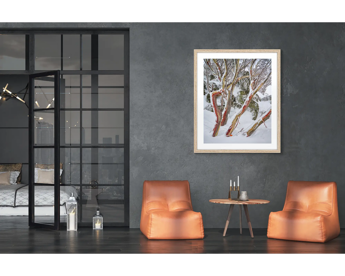 Weathered Reds. Framed wall art print of snow gums with red bark, covered in snow, with a timber frame in a modern loft apartment. 
