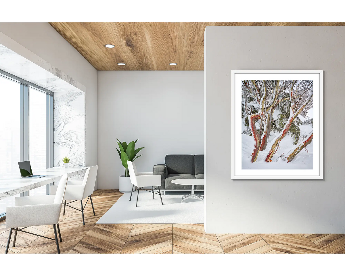 Weathered Reds. Framed wall art print of snow gums with red bark, covered in snow, with a white frame in a modern, scandi inspired apartment. 