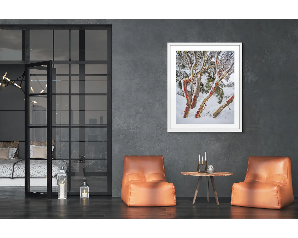 Weathered Reds. Framed wall art print of snow gums with red bark, covered in snow, with a white frame in a modern loft apartment. 