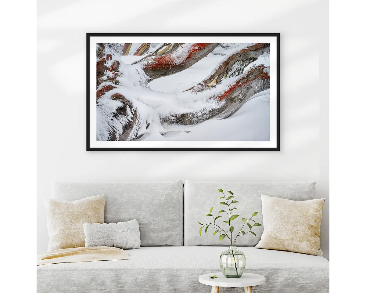 Weight. Wall art print of snow covered snow gum branches framed in a black frame and hung above a couch.