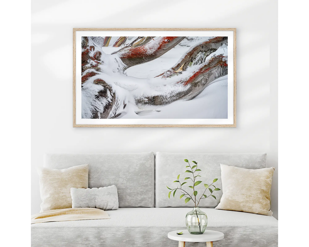 Weight. Wall art print of snow covered snow gum branches framed in a timber frame and hung above a couch.