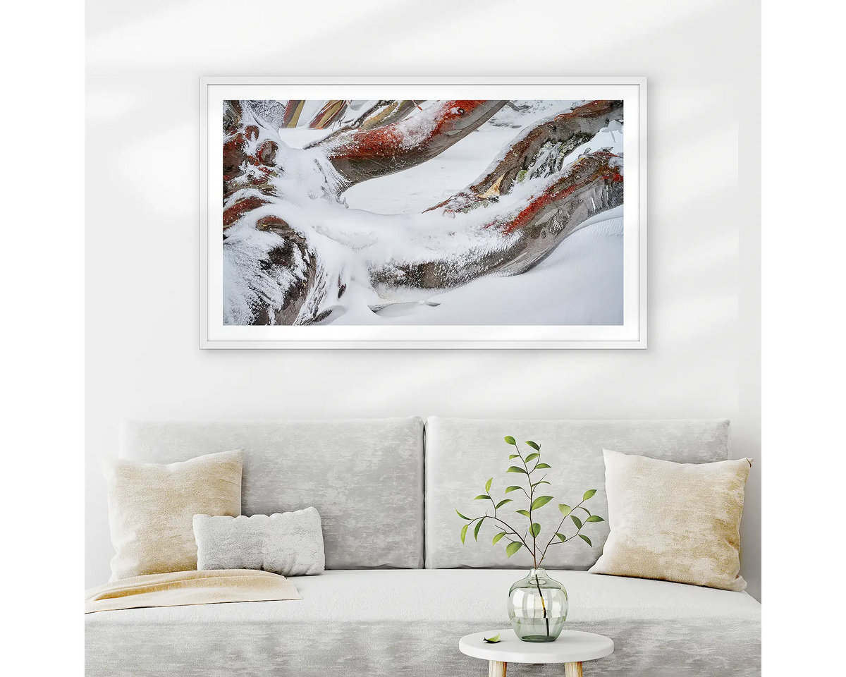 Weight. Wall art print of snow covered snow gum branches framed in a white frame and hung above a couch.
