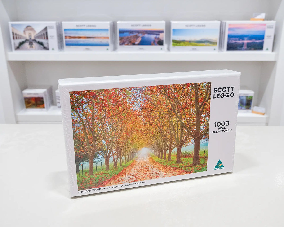 Welcome To Autumn. 1000 piece jigsaw puzzle of an Autumn tree lined driveway, Southern Highlands, on gallery desk with puzzles in background.