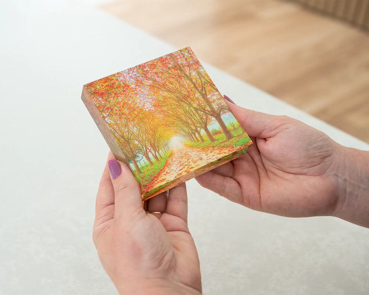 Welcome To Autumn. Acrylic block of autumn tree lined road, held in hands.
