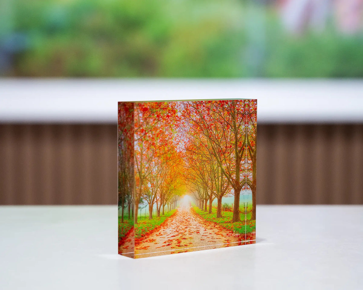 Welcome To Autumn. Acrylic block autumn tree lined road, on desk with large tree artwork in background.