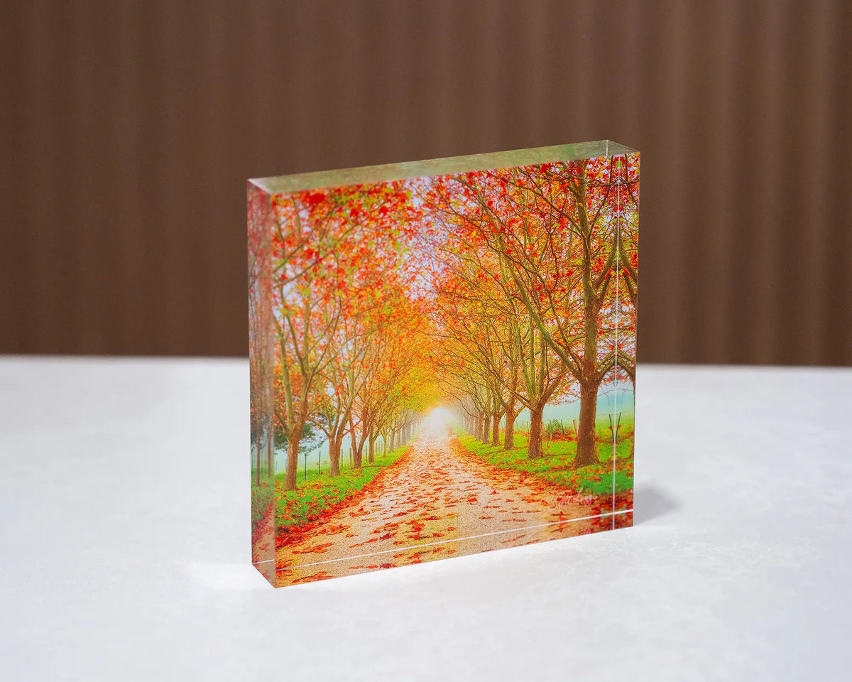 Welcome To Autumn. Acrylic block autumn tree lined road, sitting on desk.