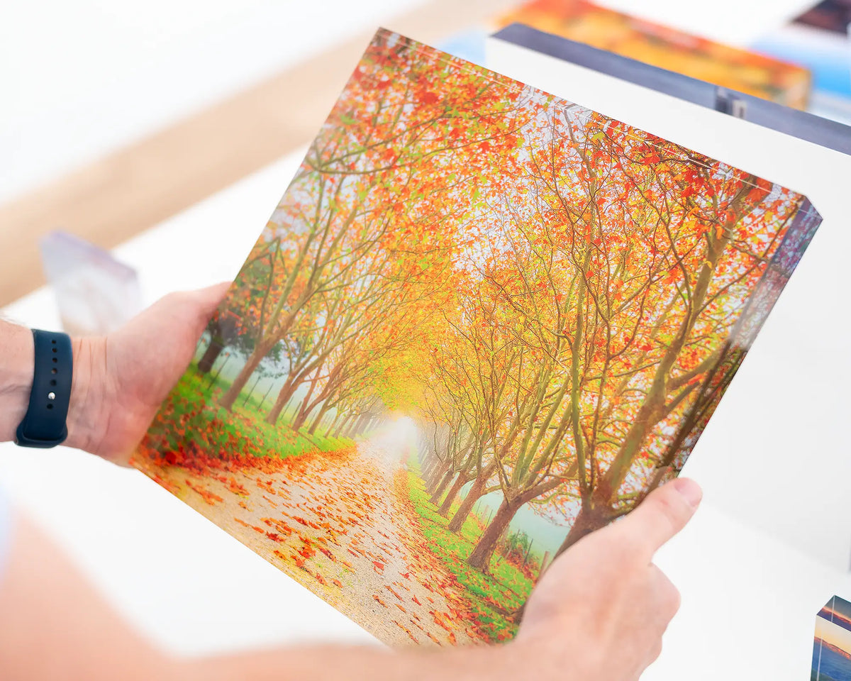 Welcome To Autumn acrylic block in extra large 30cm size.