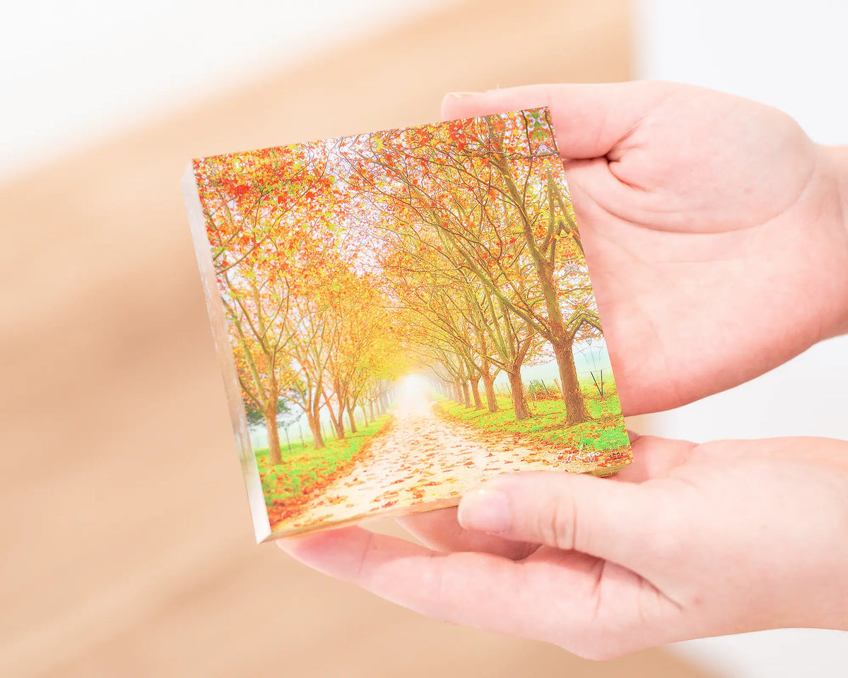 Welcome To Autumn 10cm acrylic block being held in hand.