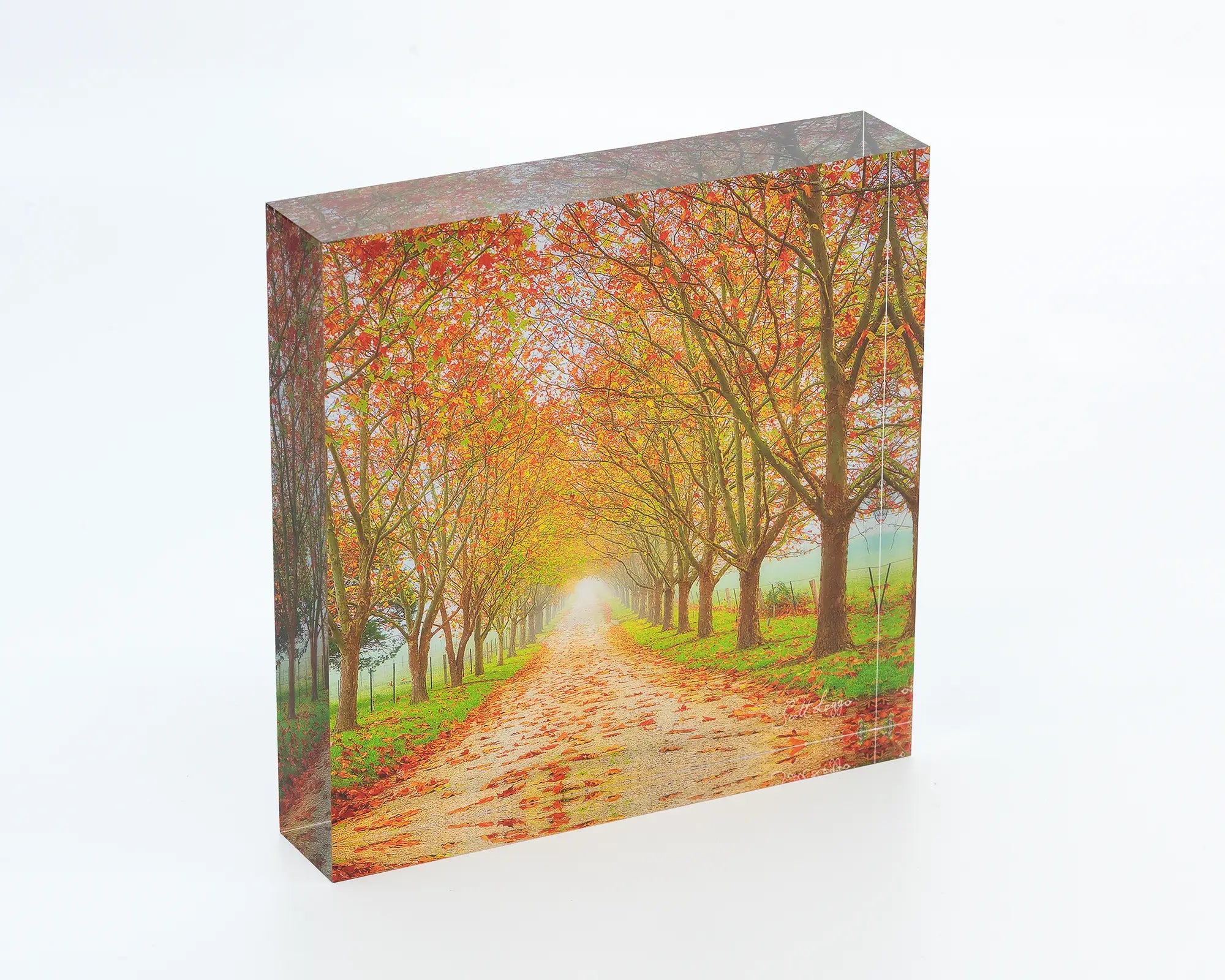 Welcome To Autumn - Driveway with autumn leaves in fog - Acrylic Block.