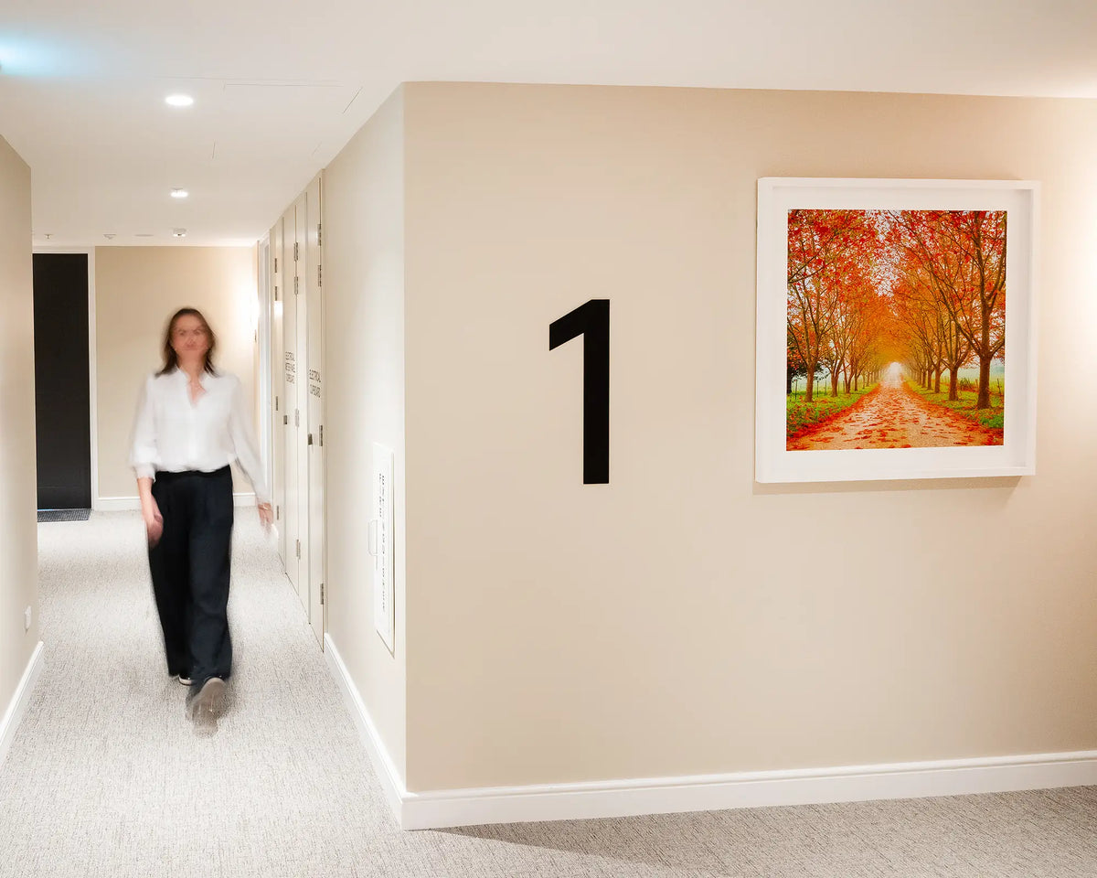 Welcome To Autumn. Driveway to farm lined with autumn trees, Southern Highlands, first floor commercial space with person walking down corridor.