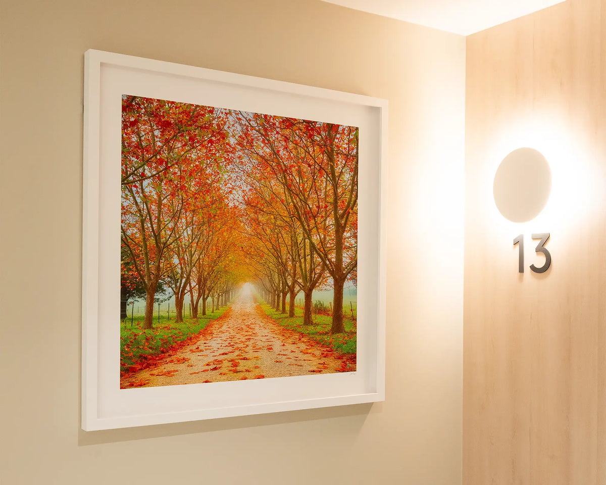 Welcome To Autumn. Driveway to farm lined with autumn trees, Southern Highlands, on cream wall in apartment building.