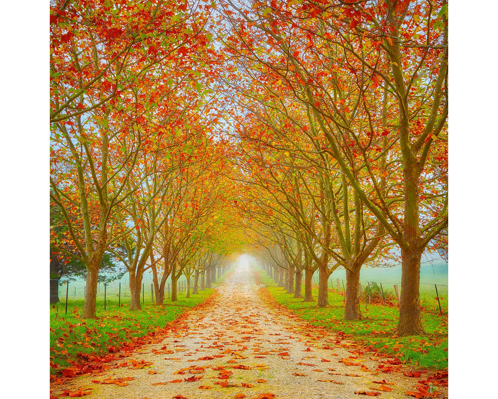 Welcome To Autumn - Driveway with autumn leaves in fog - Acrylic Block.