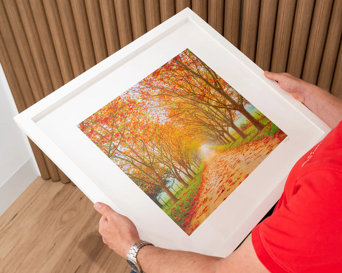 Welcome To Autumn. Farm driveway in autumn, Southern Highlands, 60cm being held in hands.