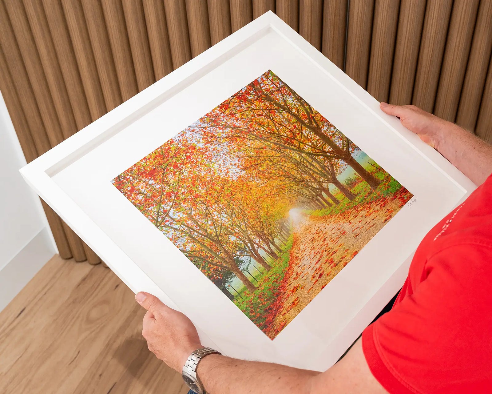 Framed artwork of a scenic path lined with trees with autumn foliage in the Southern Highlands.