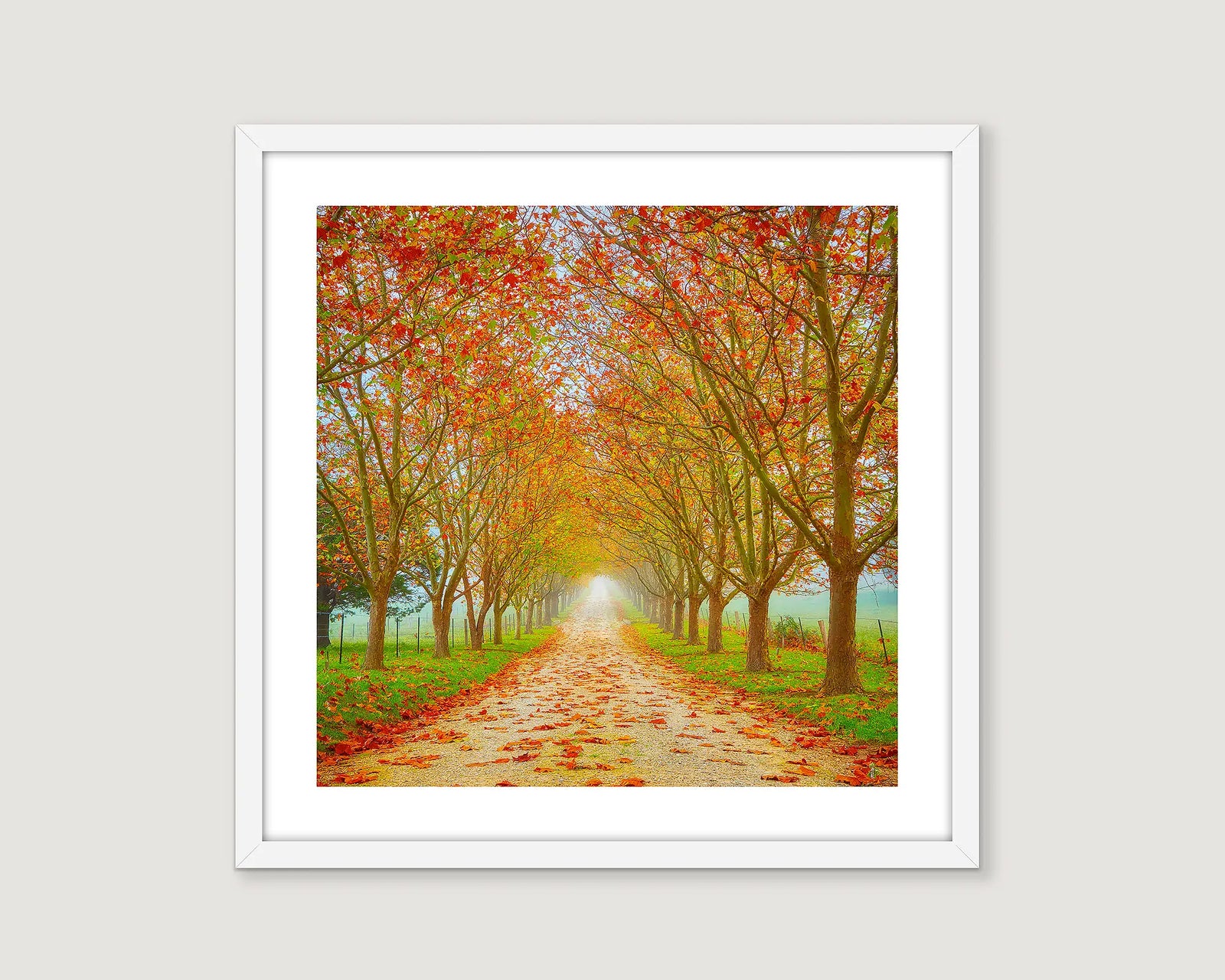 Framed artwork of a scenic path lined with trees with autumn foliage in the Southern Highlands.