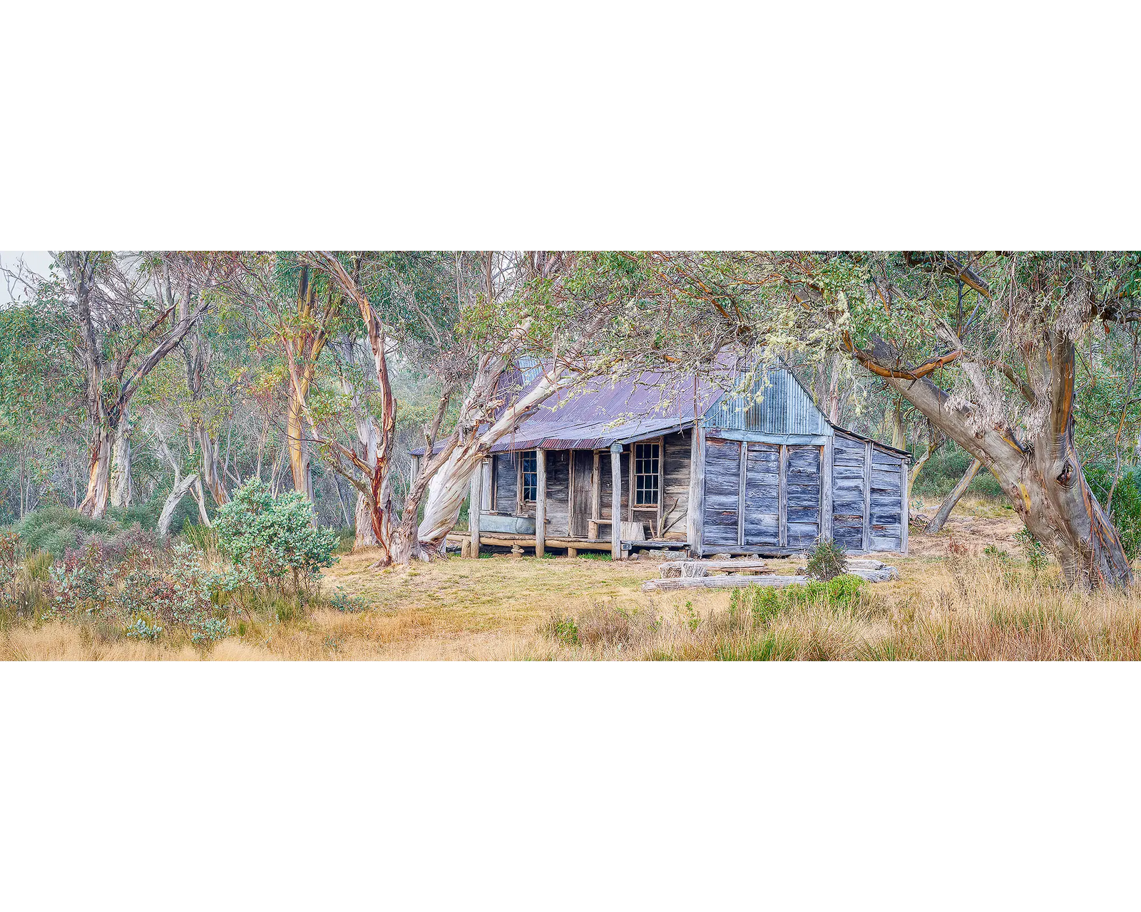 Wheelers Legacy. Wheelers Hut amongst snow gums, Jagungal Wilderness, Kosciuszko National Park.