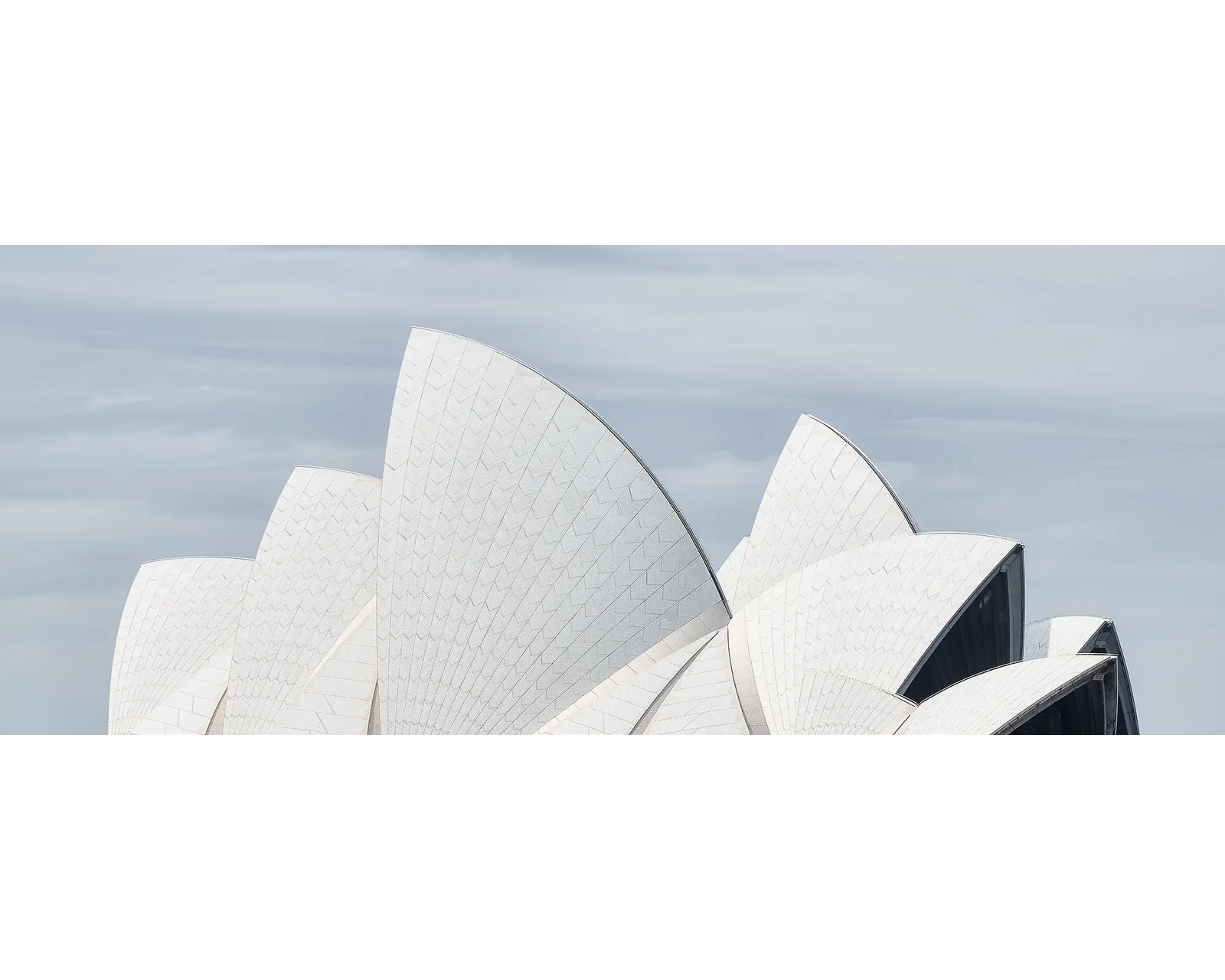 White sails in the sun, Sydney Opera House.