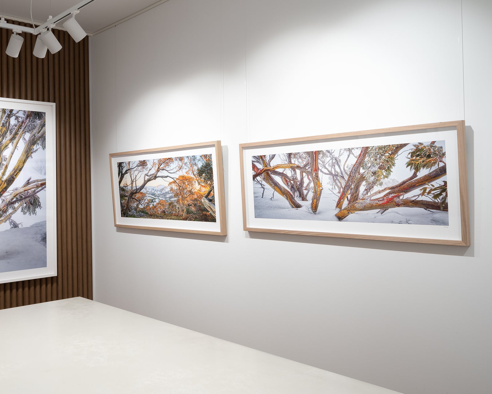 Framed artwork of snow-covered snow gum trees with red-barked trunks on a white wall.