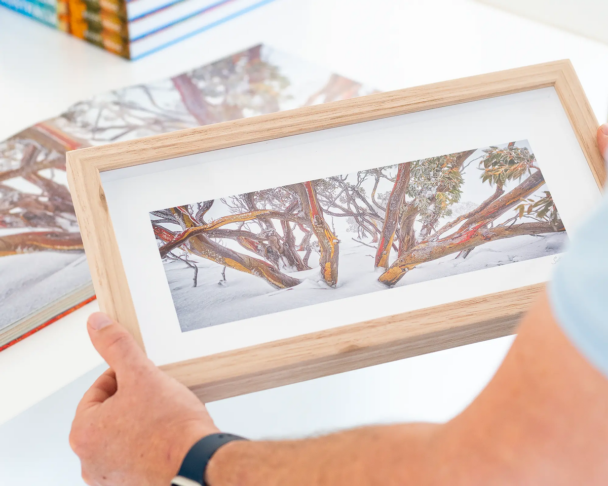 Wild - Winter snow gum artwork in small Tasmanian Oak frame.