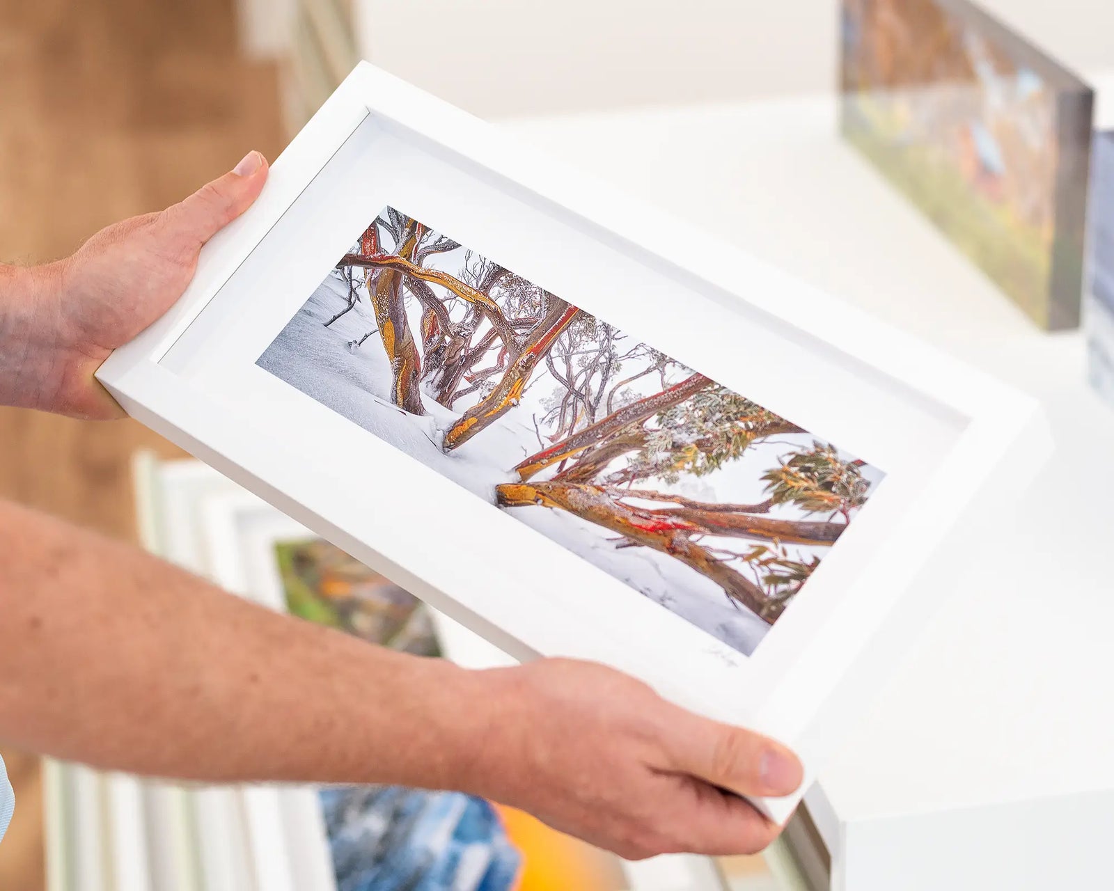 Framed artwork of snow-covered snow gum trees with red-barked trunks on a white wall.