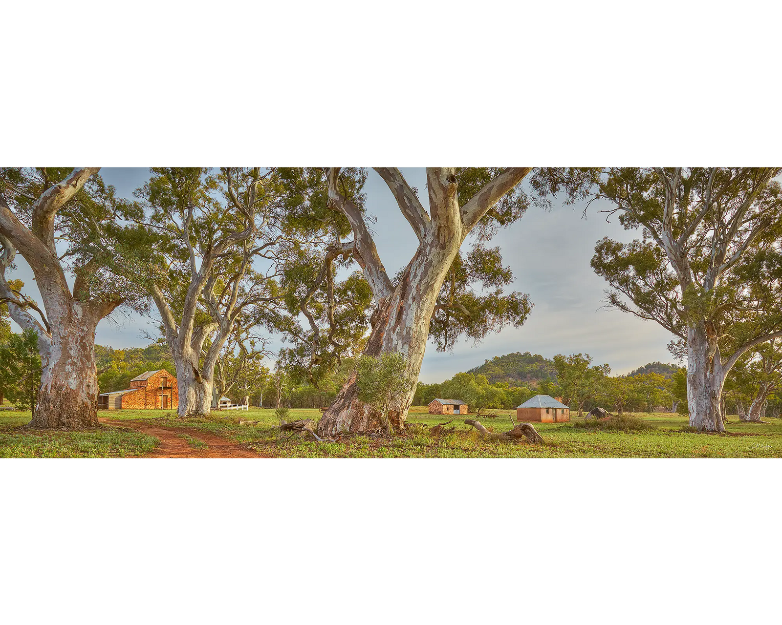 Wilpena Heritage. 1000 piece jigsaw puzzle front of box.