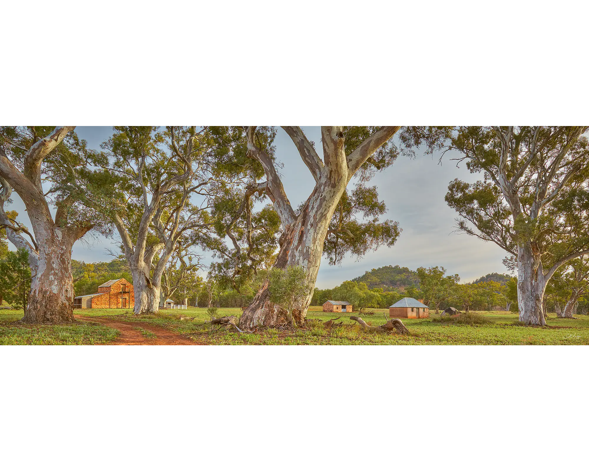 Wilpena Heritage 1000 piece jigsaw puzzle reference image.