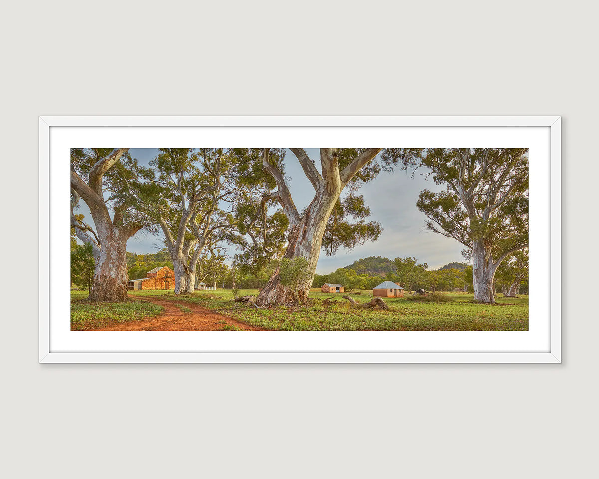 Framed artwork of Wilpena Station homestead among gum trees.