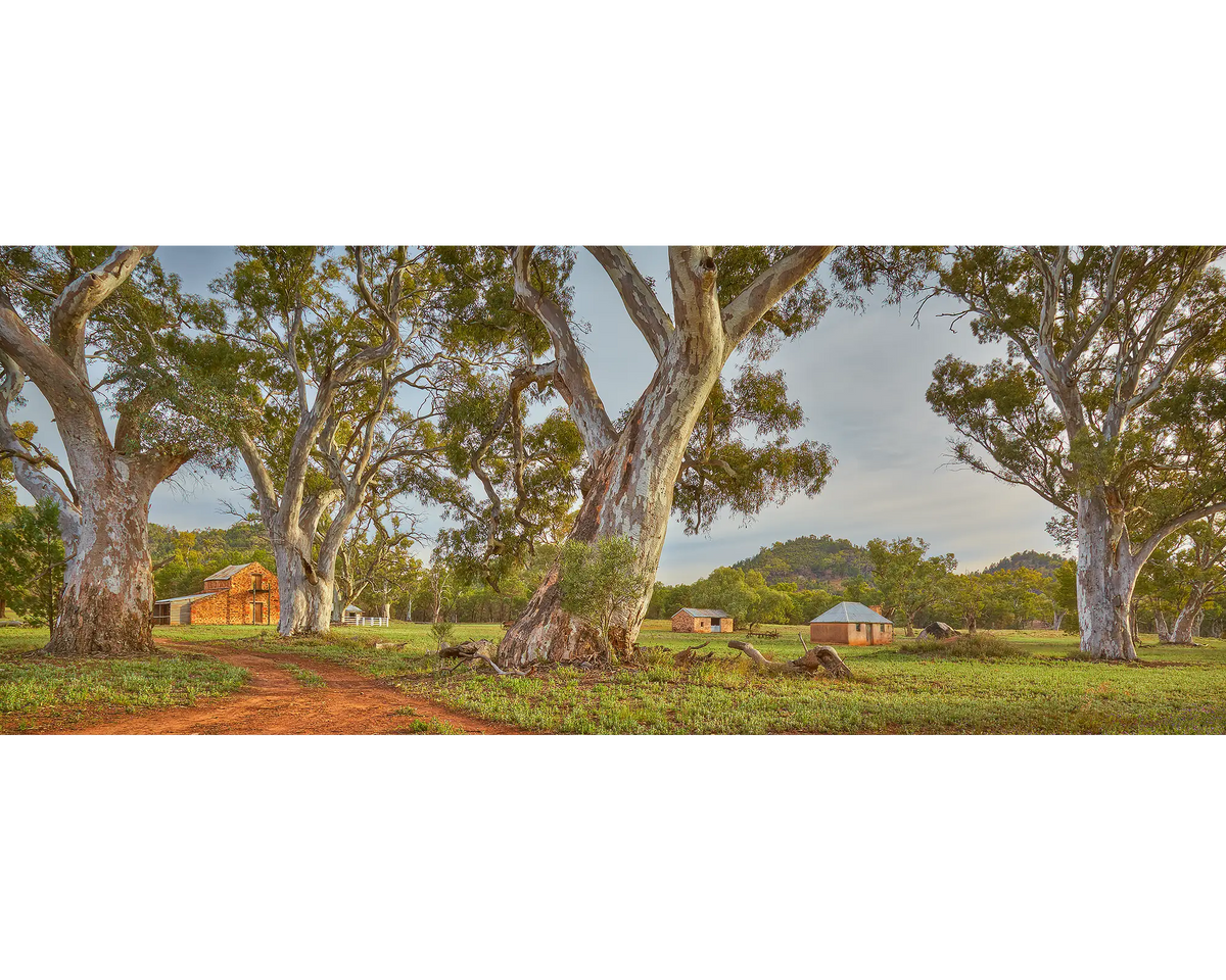 Wilpena Heritage. Wilpena Station, Flinders Ranges, South Australia.