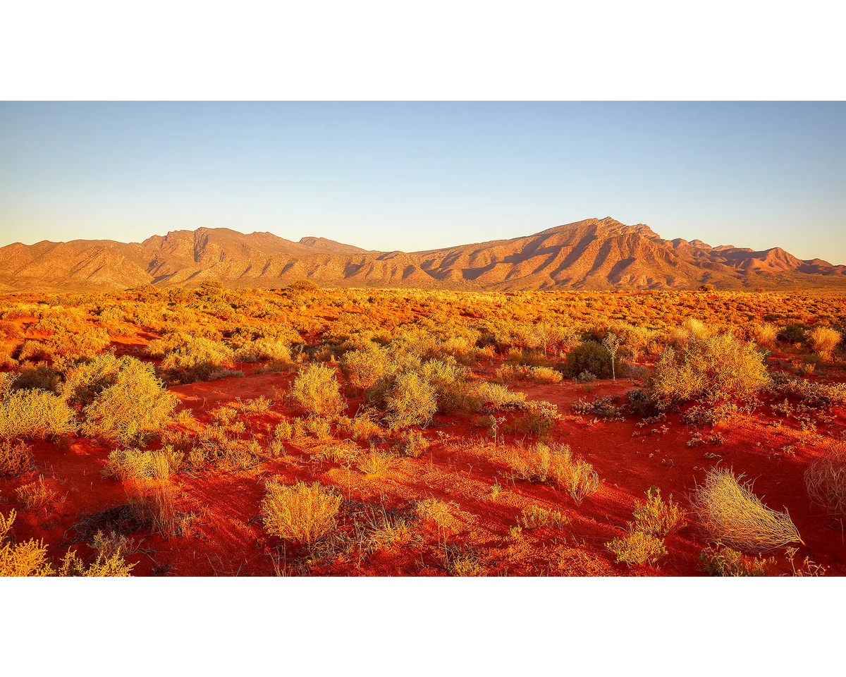 Wilpena Red. Sunset over Wilpena Pound and red sand, Flinders Ranges, South Australia.