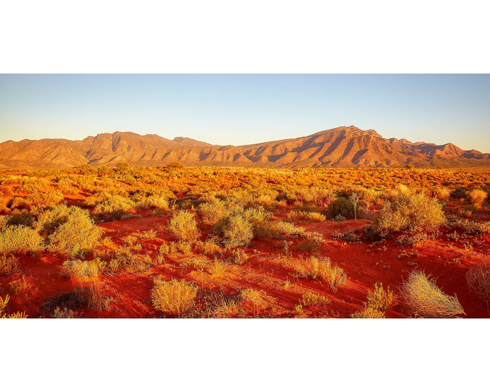 Wilpena Red. Sunset over Wilpena Pound, Flinders Ranges.