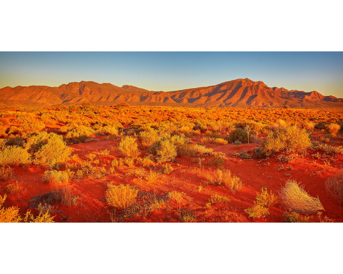 Wilpena Red. Sunset Wilpena Pound, Flinders Ranges, South Australia.