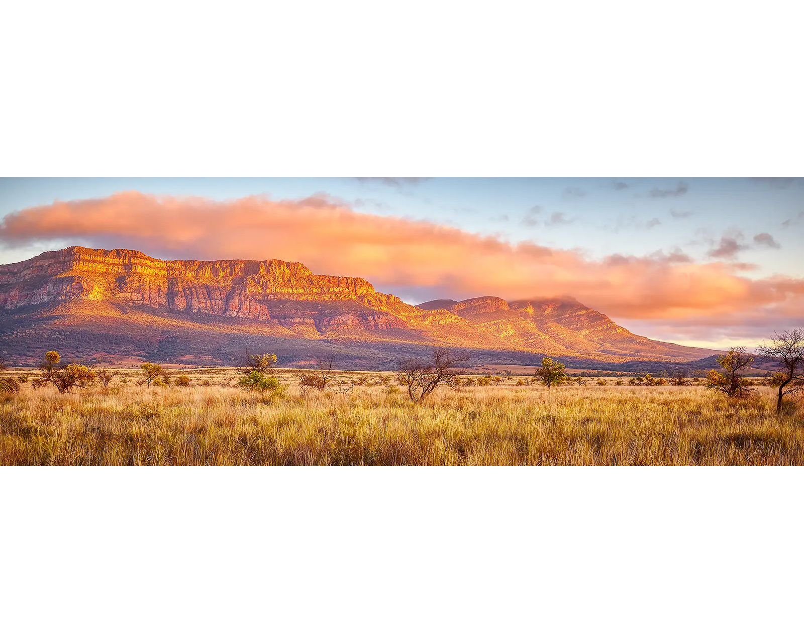 Sunrise with fog over Wilpena Pound, Flinders Ranges, SA. 