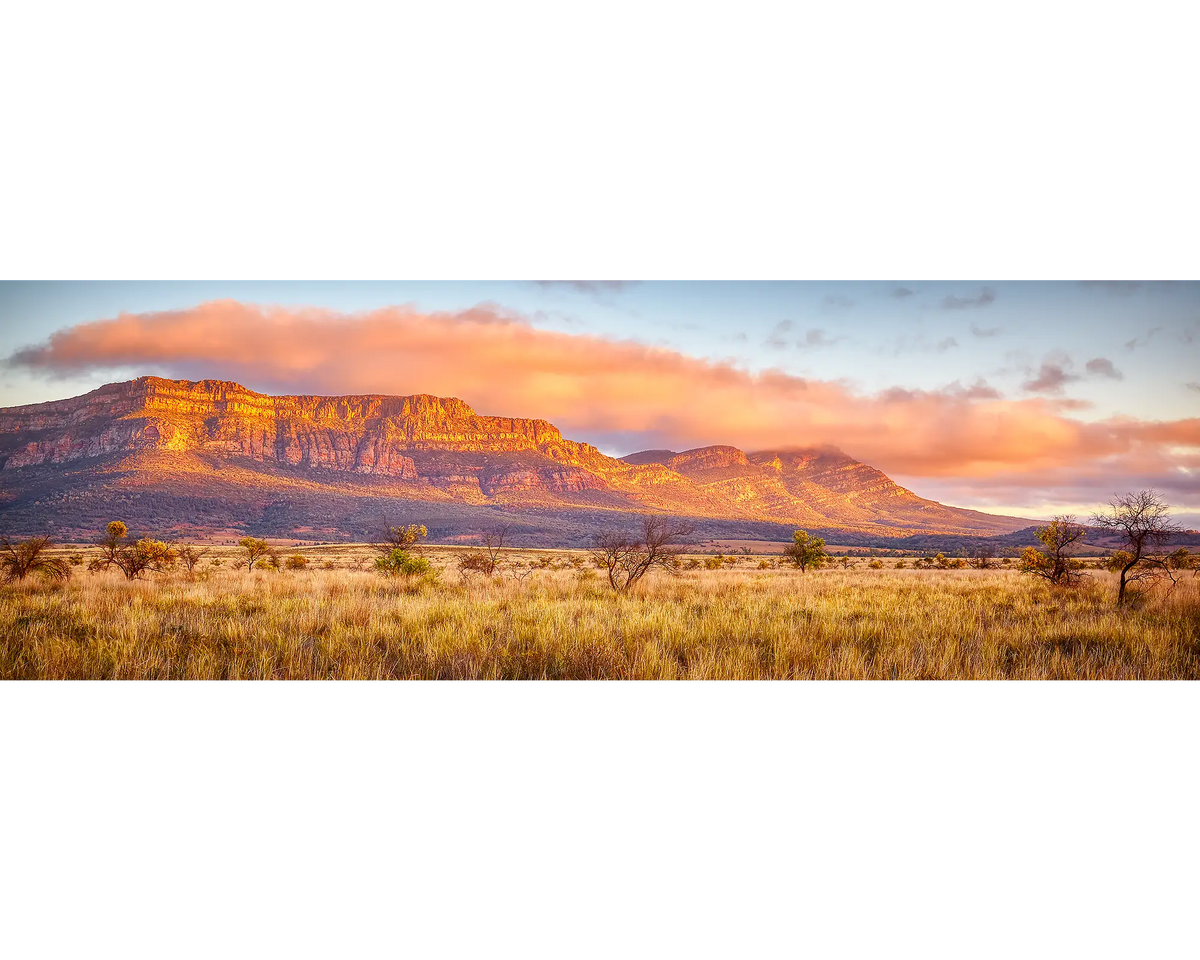 Wilpena Waking. Wilpena Pound at sunrise with fog, Flinders Ranges, South Australia.