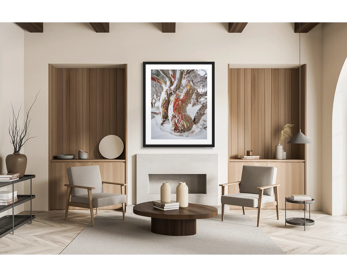 Winter Embrace. Old twisted snow gum with snow, wall art print in a black frame hung in a chalet living room. 